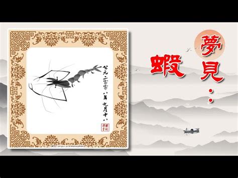 夢見蝦子號碼|夢見蝦子是什麼意思